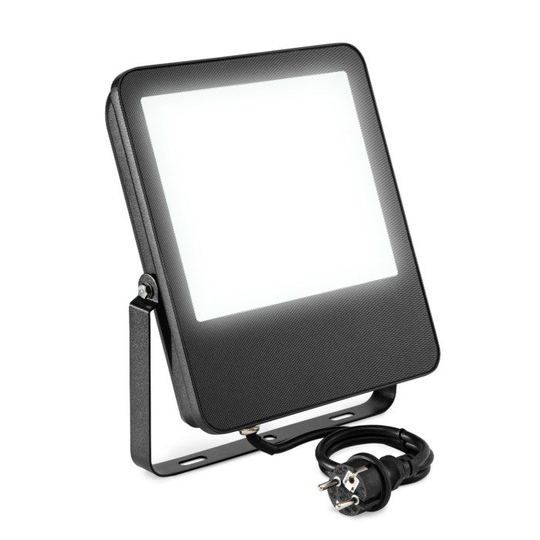 Luxorparts Høyeffektiv LED-lyskaster 100 W