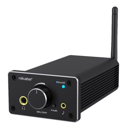 Nikabe D2 Mini-forsterker med Bluetooth 2x50 W